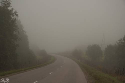 дорога туман