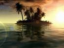 пальмы остров