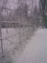 ограда в снегу